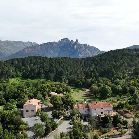 Les Hauts De Cavanello Zonza Exterior foto